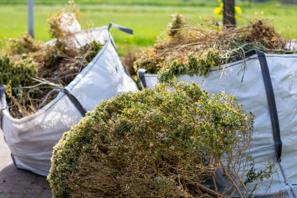 Best Office Junk Removal  in San Diego, CA