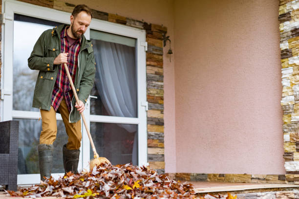 Basement Cleanout Services in San Diego, CA